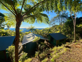 Binna Burra Rainforest Campsite, Beechmont